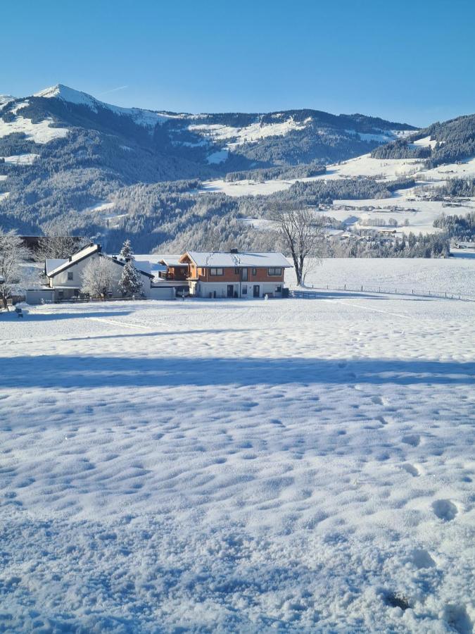 Berg Apartment Barbara Hopfgarten im Brixental Kültér fotó